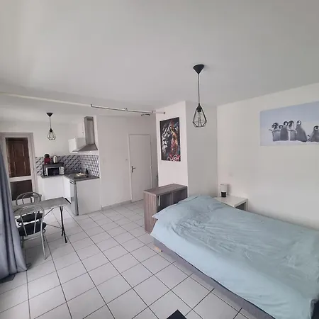 Apartment Lumineux Bellevue 11 Saint-Etienne (Loire)